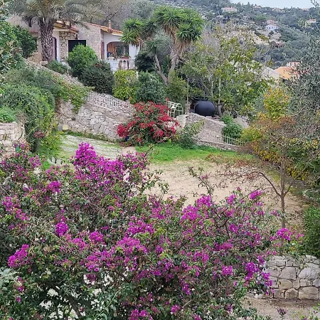 Διαμέρισμα Yiannas